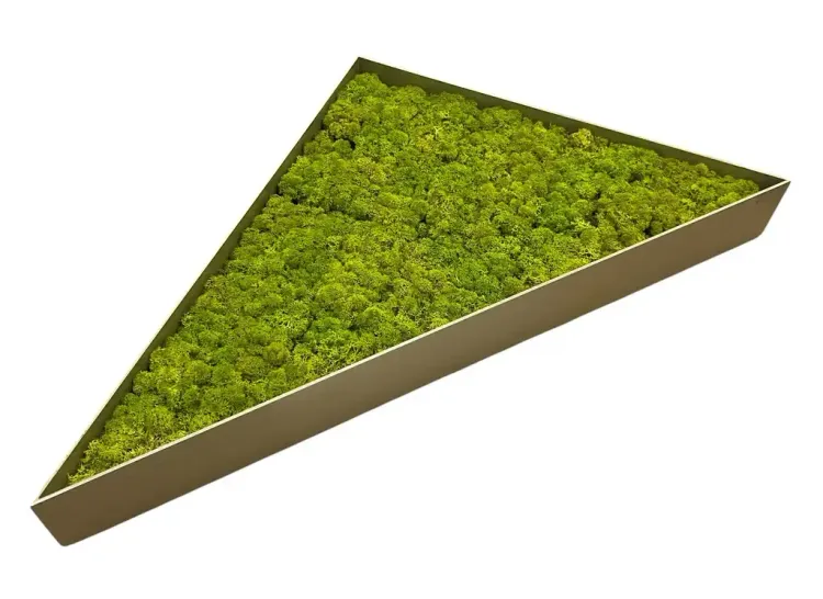 Begagnad trekantig mosstavla i ljusgrön färg tillverkad av naturligt konserverad mossa. Mått: höjd 60 cm, bredd 50 cm och djup 9 cm.  