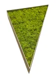 Begagnad trekantig mosstavla i ljusgrön färg tillverkad av naturligt konserverad mossa. Mått: höjd 60 cm, bredd 50 cm och djup 9 cm.  